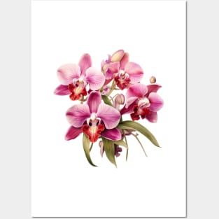 Flower illustration of the bouquet of orchids Posters and Art